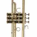 17043GYR Professional Trumpet