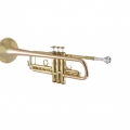 17043GYR Professional Trumpet