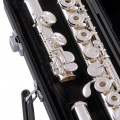 Selmer SFL301R in Case