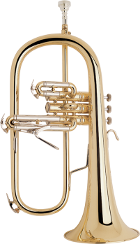 image of a 183 Professional Flugelhorn